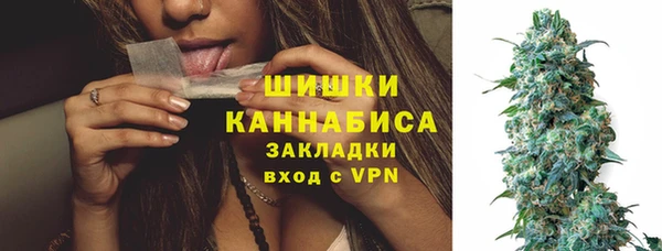 ГАЛЛЮЦИНОГЕННЫЕ ГРИБЫ Алзамай