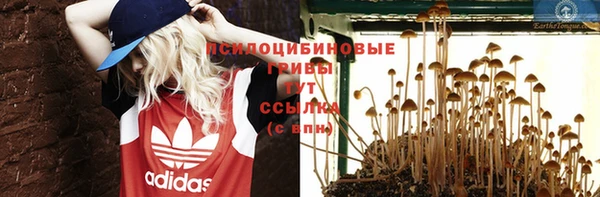 ГАЛЛЮЦИНОГЕННЫЕ ГРИБЫ Алзамай
