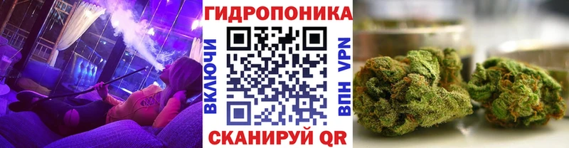 Канабис White Widow  что такое наркотик  Шумиха 
